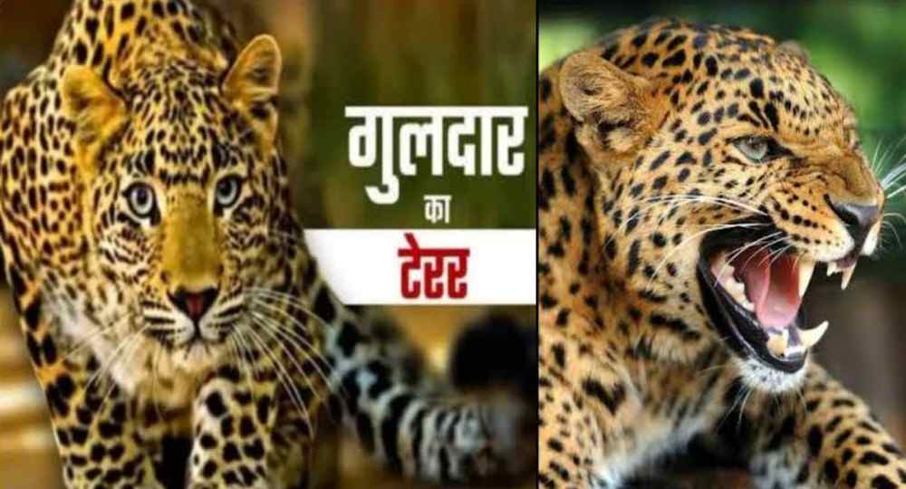 Ramnagar guldar attack today