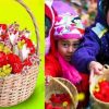 Happy phooldei festival of uttarakhand 2025 date best wishes