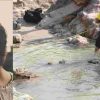 Uttarakhand: Tehri Garhwal News Hindi girl drowned in bhagirathi river