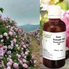 Dehradun News: Damask rose is giving self employment in Uttarakhand, the price of oil is Rs 13 lakh per liter