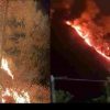 Champwat Forest Fire: , the wedding party set the forest on fire, a case has been registered