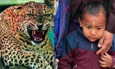 Uttarakhand News: Bageshwar kanda area Guldar attack on 4 year child