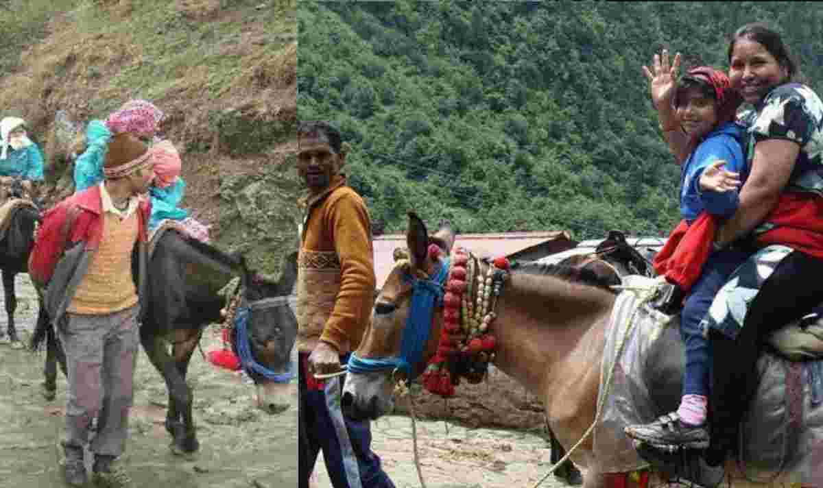 Rudraprayag: Ban imposed on the operation of horses and mules in Kedarnath Dham