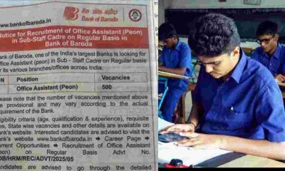 bank of baroda office assistant recruitment apply online govt job 2025