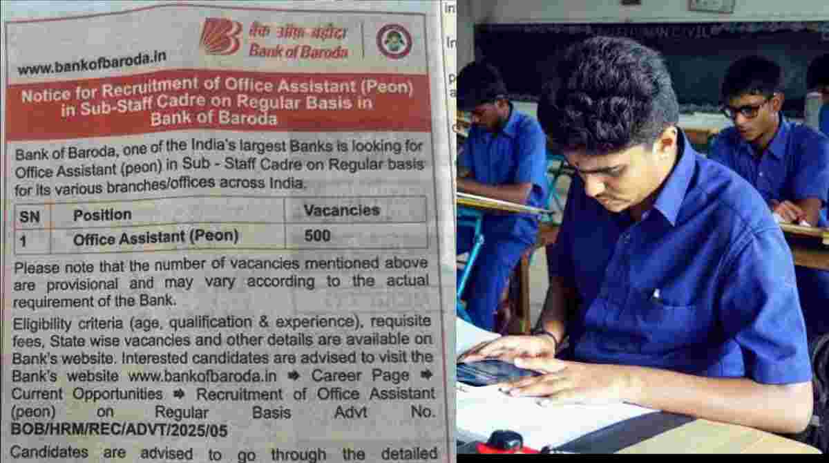 bank of baroda office assistant recruitment apply online govt job 2025