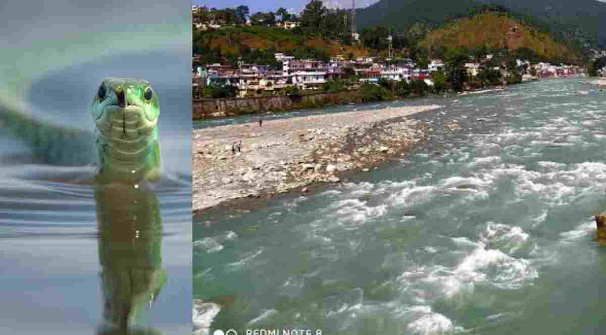 Uttarakhand: Bageshwar News live vishal went in Saryu river for bath snake bite