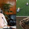 Uttarakhand: four time loan for uttarakhand govt self-employment scheme