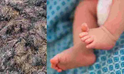 Uttarakhand News live: Chamoli nanda nagar widow woman placed new baby in dung