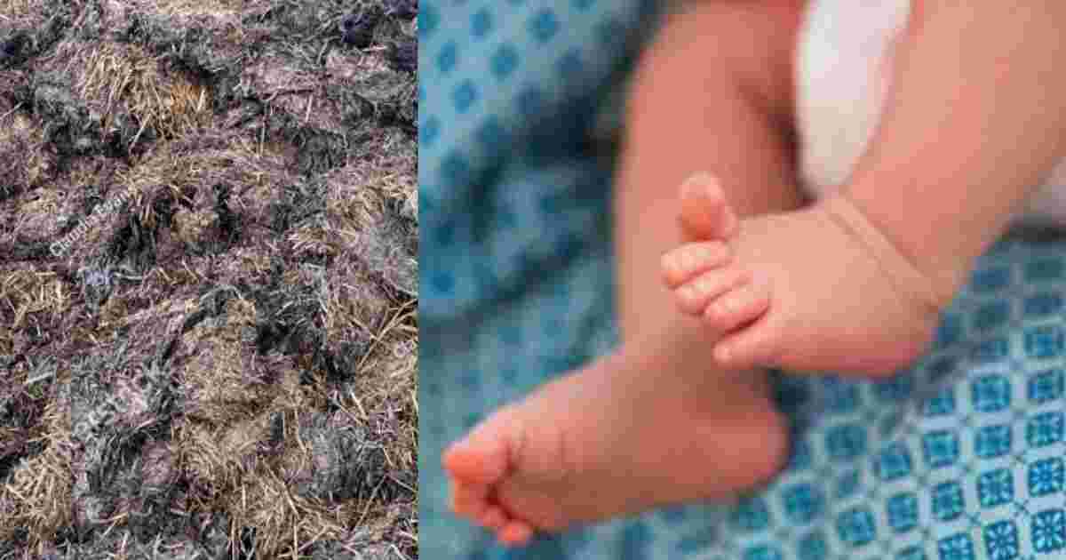Uttarakhand News live: Chamoli nanda nagar widow woman placed new baby in dung