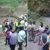 Chakrata tiger fall news