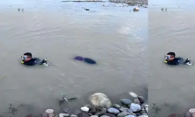 Rishikesh ganga river news