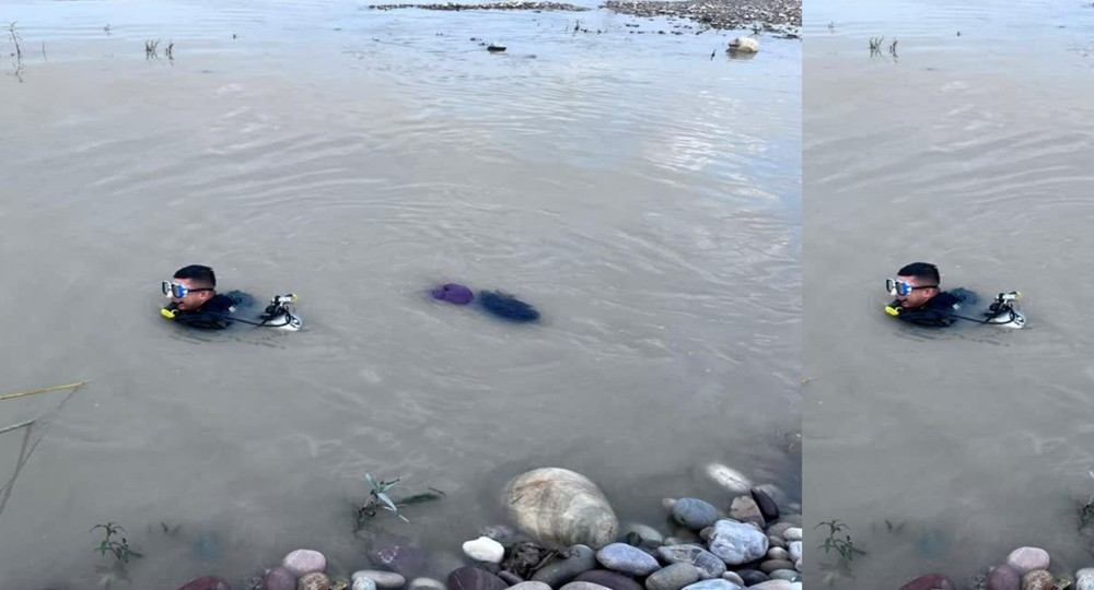 Rishikesh ganga river news