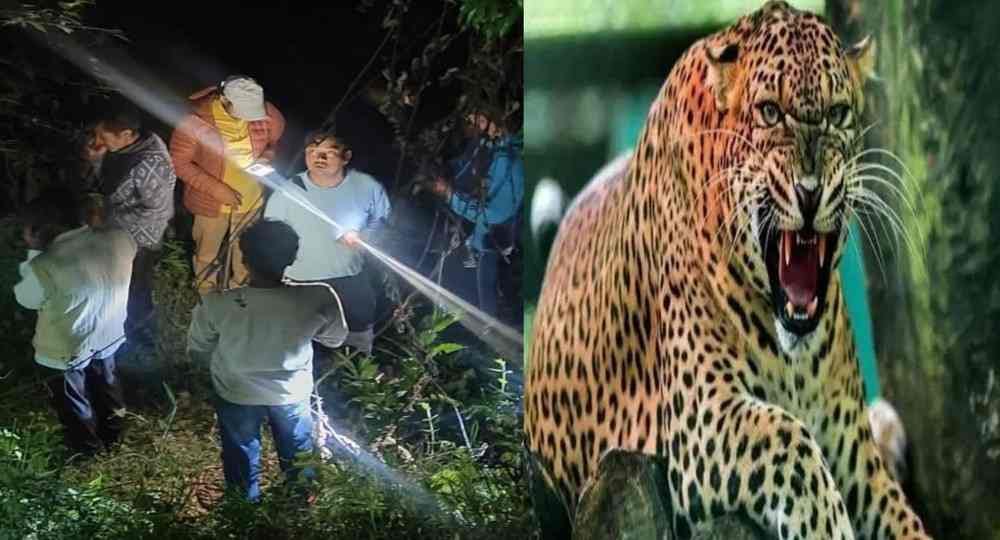 Uttarakhand news today: women killed guldar attack jakholi Rudraprayag.