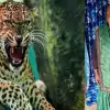 Haldwani leopard attack today