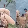 Uttarakhand: Bhimtal News Today girl body found from lake