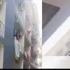 Uttarakhand news Hindi: Rishikesh woman jumped from the fourth floor