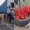 Jaipur marriage jeep accident