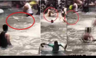 Mussoorie kempty fall News: Snake created panic while bathing