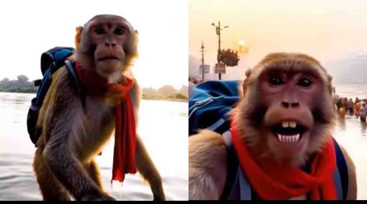 Uttarakhand: Haridwar News Today Live monkey vlogger famous globally