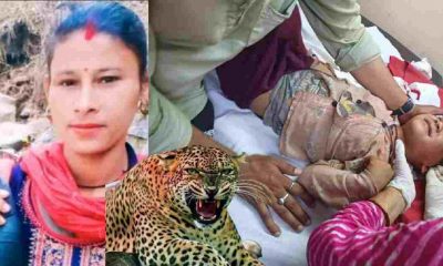 Tehri Garhwal: pratapnagar leopard attack child playing in the courtyard, his mother saved From Guldar