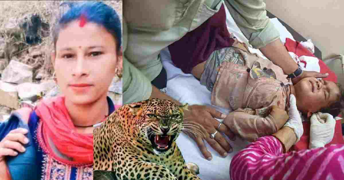 Tehri Garhwal: pratapnagar leopard attack child playing in the courtyard, his mother saved From Guldar