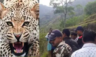 Uttarakhand news today: guldar attack kotdwar pauri garhwal puran singh died.