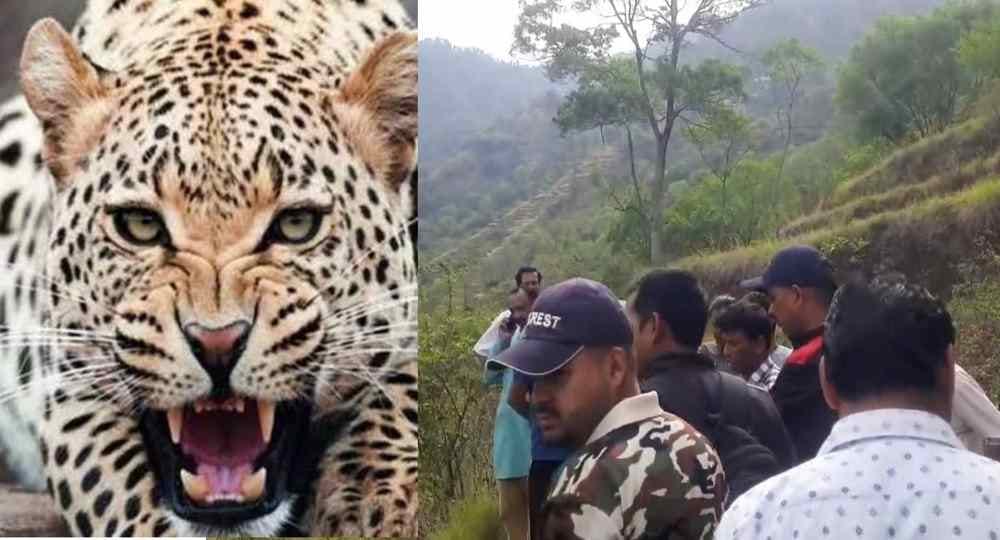 Uttarakhand news today: guldar attack kotdwar pauri garhwal puran singh died.