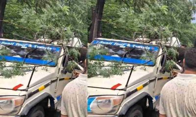 Uttarakhand news today : rain tree fell into bolero one died dehradun accident.