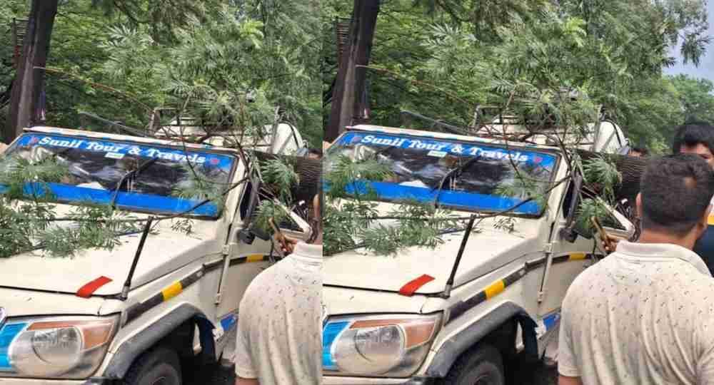 Uttarakhand news today : rain tree fell into bolero one died dehradun accident.