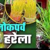 Harela festival date 2025 why and how celebrate harela in uttarakhand