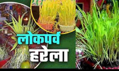 Harela festival date 2025 why and how celebrate harela in uttarakhand
