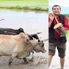 Uttarakhand news: CM pushkar Dhami Dhan Ropai in hometown Khatima nagala area