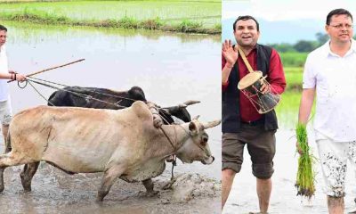 Uttarakhand news: CM pushkar Dhami Dhan Ropai in hometown Khatima nagala area