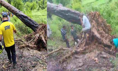 student arav Bisht and mansi died tree fell nail pilkhi Ghansali tehri garhwal latest news today SDRF rescue