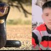 Uttarakhand news: Bajpur news live Snake bite Kelakhera area