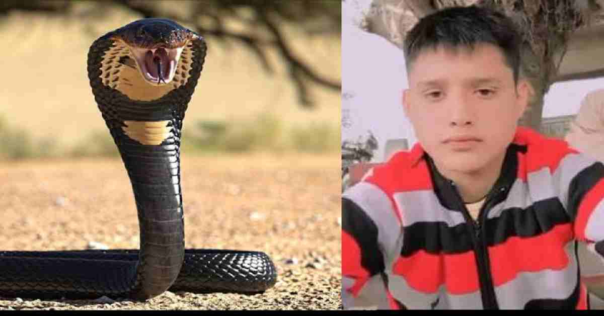 Uttarakhand news: Bajpur news live Snake bite Kelakhera area