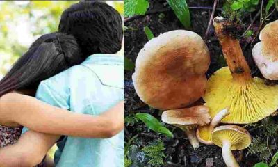 Uttarakhand news Today: In Bhowali, girlfriend stopped talking to boyfriend, eat wild mushroom
