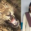 Uttarakhand news: Rudraprayag jakholi brave girl Ambika guldar attack saved her life