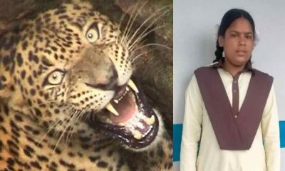 Uttarakhand news: Rudraprayag jakholi brave girl Ambika guldar attack saved her life