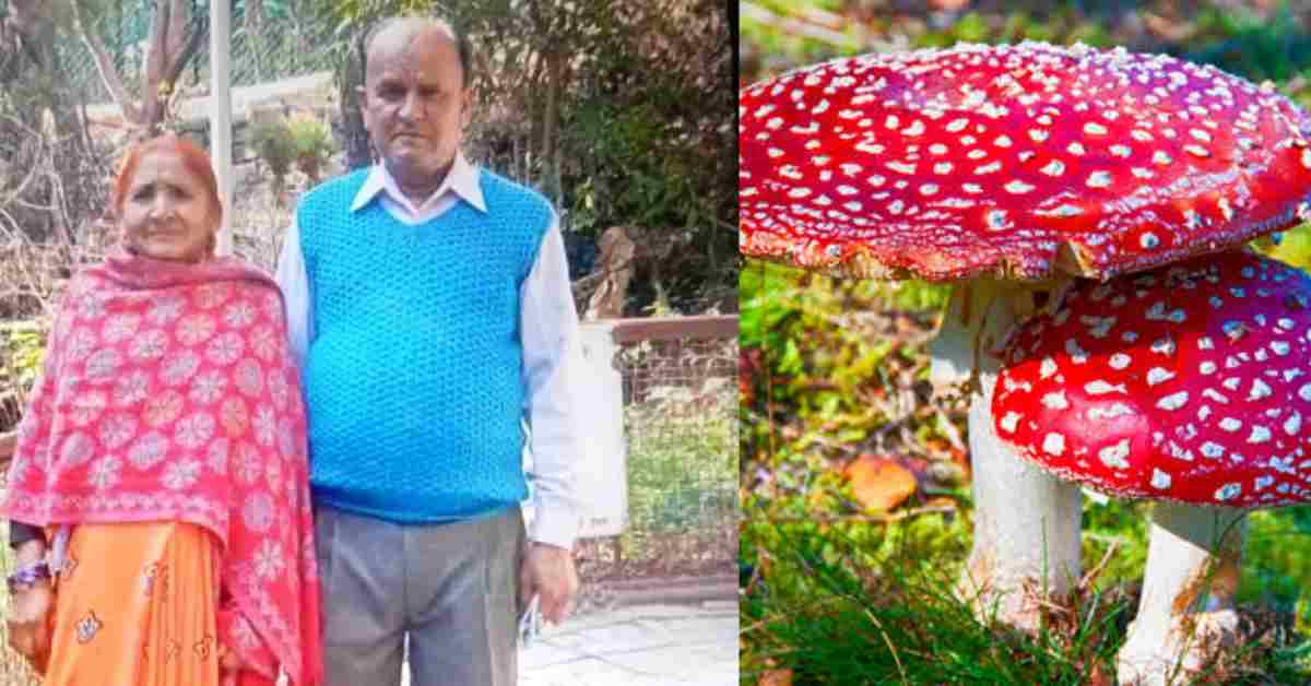 Garhwal wild mushroom news husband wife mahaveer sarojani died pauri tehsil