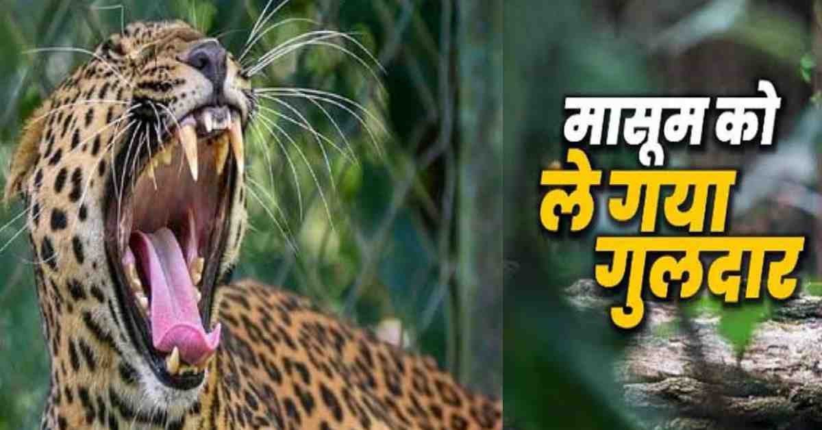 vivek thakur killed guldar attack satpuli pauri garhwal news today