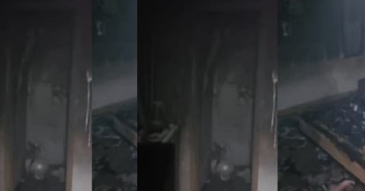 Junior Engineer JE Mohit of bathinda punjab Died fire on haridwar signature hotel news today