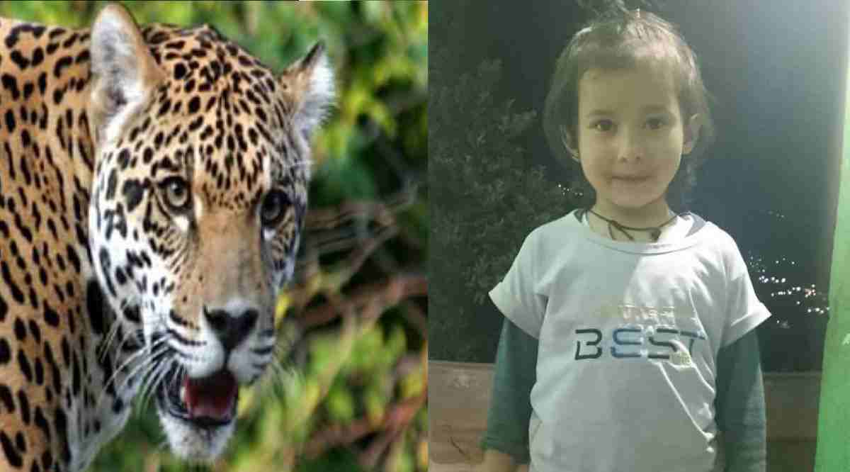 4 years old riya killed by guldar attack in Srikot village Pokhra block Pauri Garhwal Uttarakhand breking news