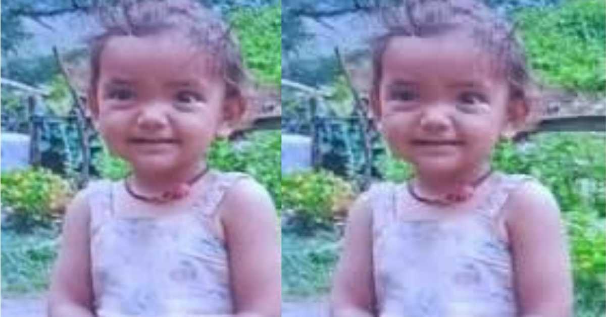 2 years old harshita died drowning in jakula riverbody found next day nachani tejam Pithoragarh Uttarakhand news today