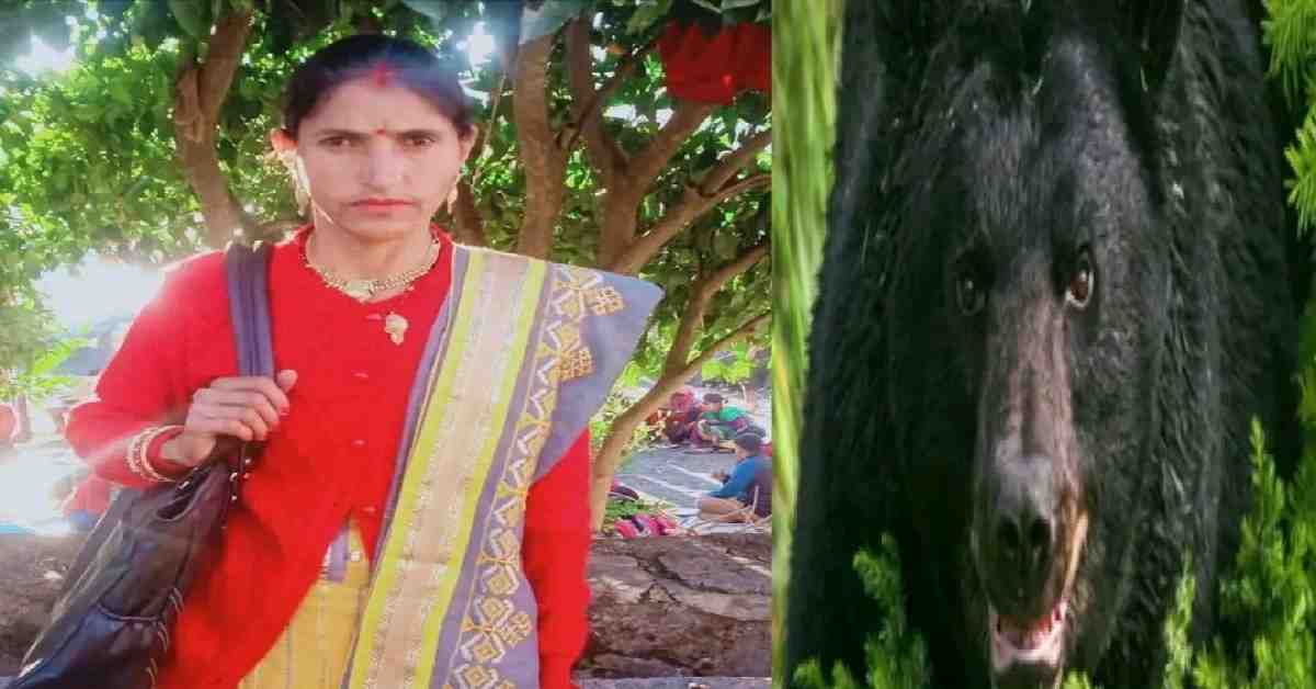 vinita rana of bhatwari fell into ditch due to bear attack died in Uttarkashi Uttarakhand news live today