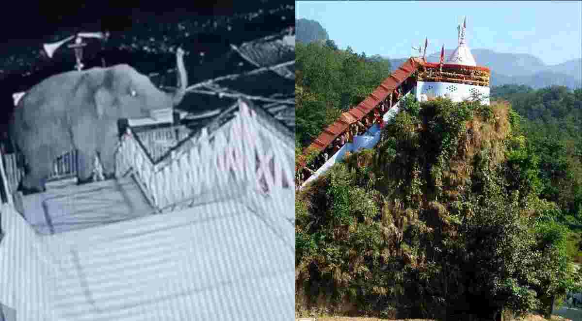 Ramnagar garjiya Devi elephant video viral