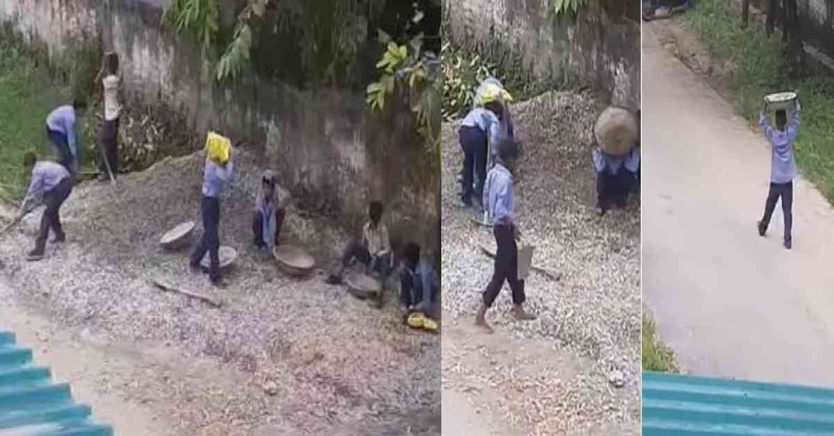 govt primary school banjarawala dehradun principal suspended due to labouri students uttarakhand latest news today