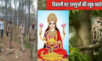 Uttarakhand Forest department cancel Diwali holiday, employee patrolling to prevent owl smuggling latest news live today