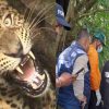 manbar Bisht died in leopard guldar attack chopra Rudraprayag uttarakhand latest news today