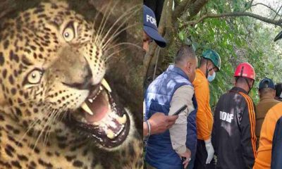 manbar Bisht died in leopard guldar attack chopra Rudraprayag uttarakhand latest news today